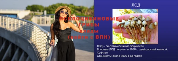 стаф Абинск