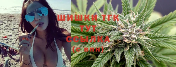 стаф Абинск