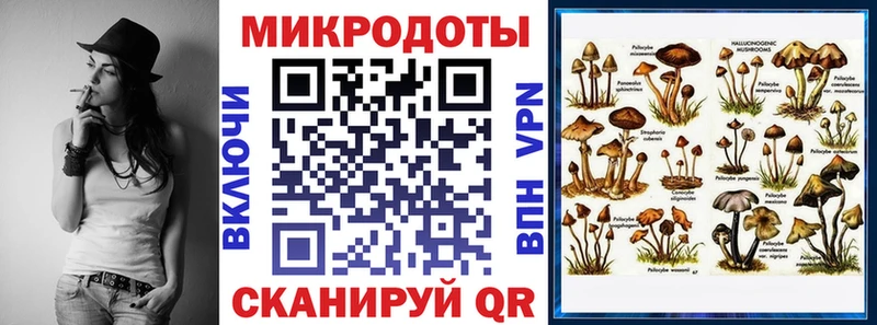 Галлюциногенные грибы Psilocybe  Красный Сулин 